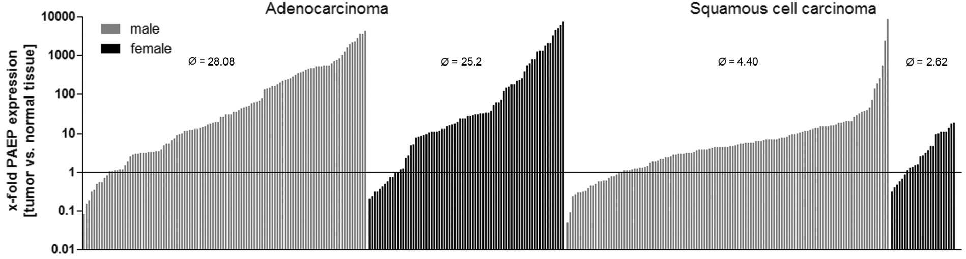 PAEP-expression in 336 lung tumor.jpg